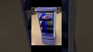 EN-digital delivery robot-Singapore-Korean Cuisine Restaurant