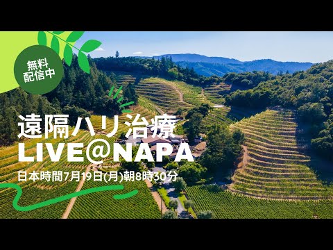 遠隔ハリ治療LIVE＠Napa