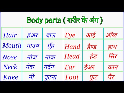 Human Body Parts Name Hindi and English | शरीर के अंगों के नाम हिंदी और अंग्रेजी में