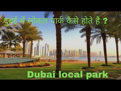 दुबई के 4 लोकल पार्क और जगह के नाम। #dubai #dubailife #dubaiparks #dubailifestyle #walking #views