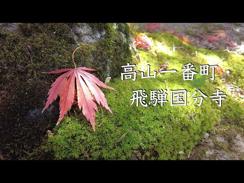 高山一番町と飛騨国分寺