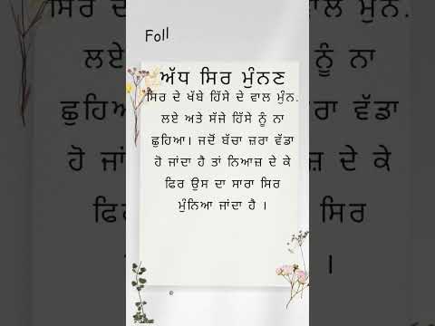 #punjabi #punjabiculture #punjab #punjabistory