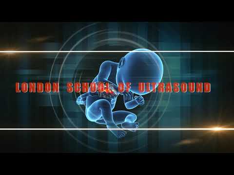 THE FETAL DYSMORPHOLOGY PROJECT: London School of Ultrasound 2020-2022