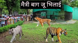 मैत्री बाग जू भिलाई | Maitri Bagh Zoo Bhilai | Bhilai City | Chhattisgarh | Vlogs Rahul