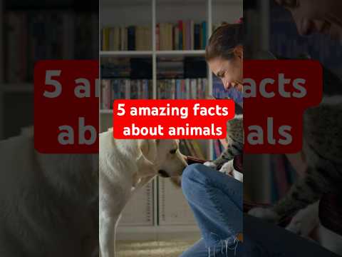 Amazing Animal Facts #facts #animals #amazingfacts