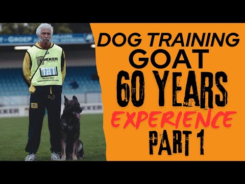 DOG TRAINER? WATCH THIS!! Helmut Raiser Part 1 German GOAT dog training Schutzhund Protection dog K9