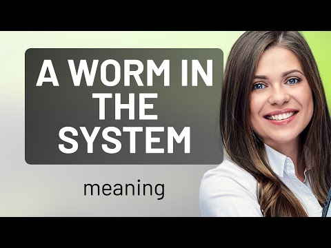 Unraveling the Mystery: "A Worm in the System"