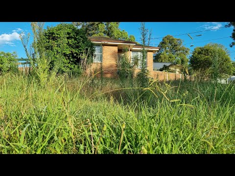 The Neighbours THREATEN Elderly GRANDMA And Said Get Your MESSY OVERGROWN Lawn Mowed OR ELSE!