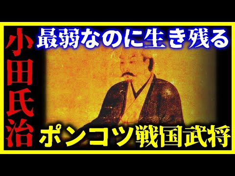 【ゆっくり解説】これは凄い…最弱なのに生き残り続けた男『小田氏治』がヤバい。