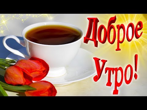 Лучшее пожелание С Добрым Утром! Доброе утро! Красивое пожелание! Тюльпаны!