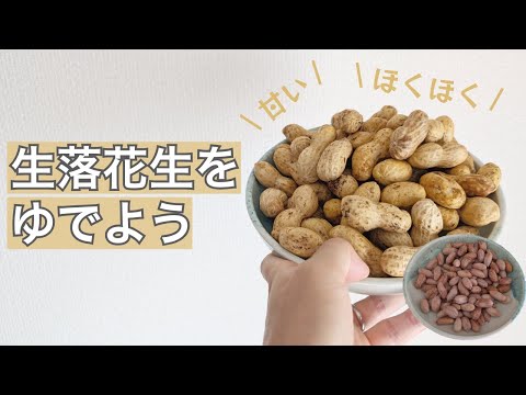 生落花生をゆでて食べよう🥜