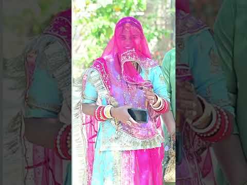 rajasthani trending short video/short video/ marwadi viral song video #new #wedding #shorts