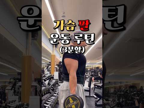 따라하면 좋아지는 가슴 팔 운동루틴 3분할