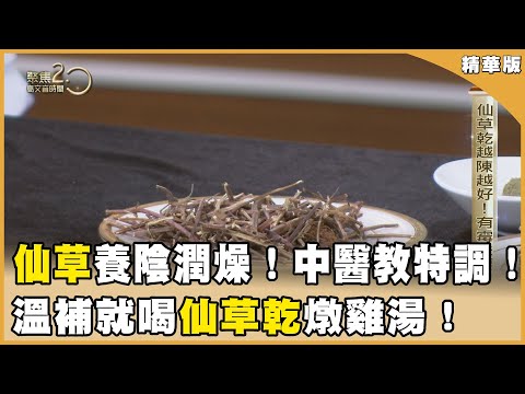 養陰潤燥就吃這鍋！仙草乾燉雞！ 潤肺益氣！仙草加這個竟絕配！【聚焦2.0】第553集