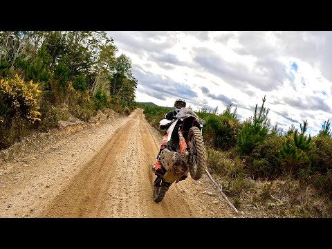 Sending my KTM 890 Adventure R at New Zealand’s best trail ride