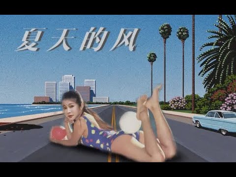 温岚-夏天的风1988（羊真闲 remix）