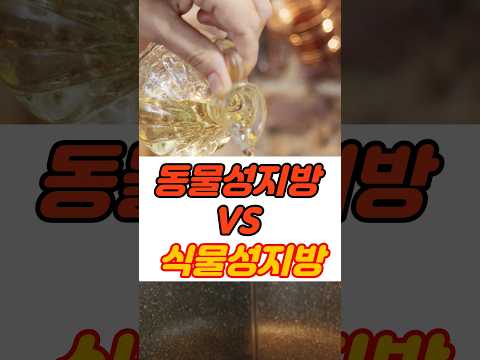 (똑똑해지는 1분 건강상식💪)동물성지방vs식물성지방 알고 먹자! 지방의 진실