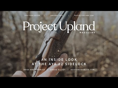 The AYA No. 2 Sidelock Shotgun - A Look at Aguirre y Aranzabal Fine Guns