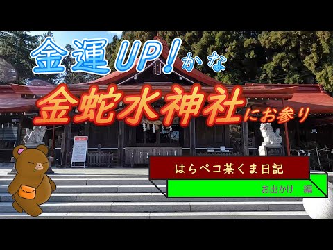 はらペコ茶くま日記　金運アップ　金蛇水神社20221208