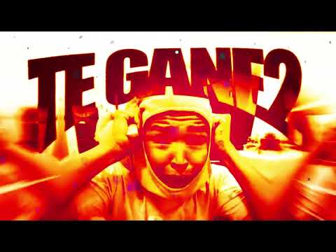 TE GANE, Vol. 2 (SLOWED) - RD12, DJ VETA3, DJ ALIM, LDRR