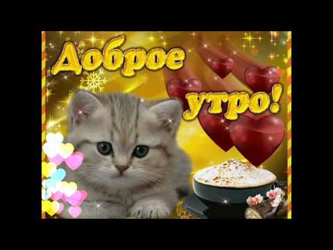 Доброе утро🌹🌹🌹прекрасного настроения на весь день🌷🌷🌷