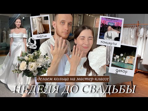 НЕДЕЛЯ ДО СВАДЬБЫ 🤍 Подготовка: выбор ПЛАТЬЯ, наши КОЛЬЦА, концерты ✨