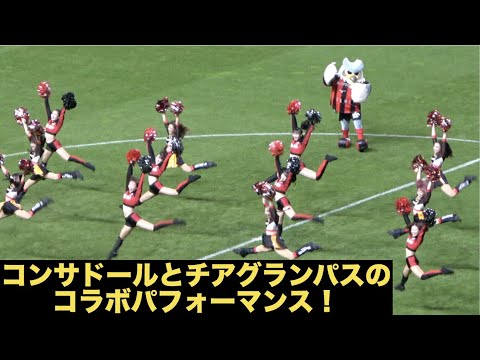 コンサドールズ×チアグランパス　コラボパフォーマンス 2023