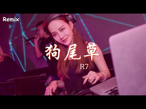 R7 - 狗尾草 - [慢搖DJ舞曲] - 2023年最勁爆的DJ歌曲  - [Chinese Dj Remix 2023]