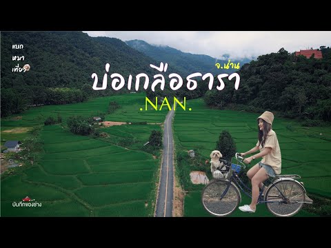 ช่างเที่ยว | แบกหมาเที่ยวน่าน ที่พักแถวบ่อเกลือ พาปั่นจักรยานชมวิวทุ่งนาเขียวๆ '' บ่อเกลือธารา ''