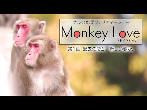 Monkey Love season2 第１話「過去の恋か、新しい恋か」