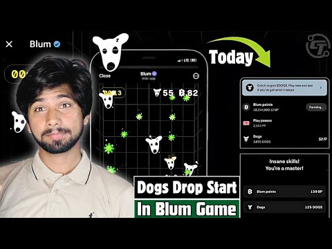 Today Blum Airdrop Update | Blum dogs Airdrop, Blum dogs news