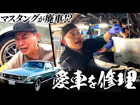 宮迫の愛車「マスタング」が廃車寸前！？トラブル続出の修理作業！