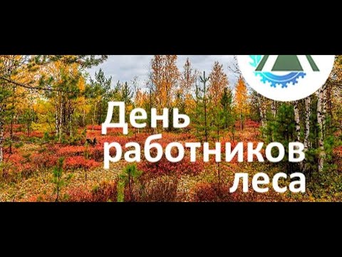 С днём лесника! 2023✨ Самое красивое поздравление с днём работника леса!