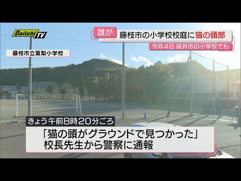 またも小学校のグラウンドに切断された猫の頭部　県内で１２月２件目　警察で関連含め捜査（静岡・藤枝市）