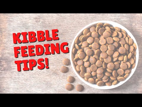 How To Safely Store Kibble | Two Crazy Cat Ladies