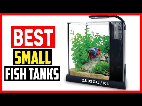 ✅The 5 Best Small Fish Tanks of 2023