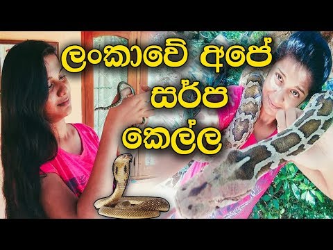 ලංකාවේ අපේ සර්ප කෙල්ල | Sri Lanka Snake Girl | Mage Creation