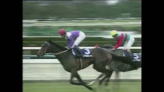 スペシャルウィーク 1999年 第119回天皇賞(春)(GI) (優勝馬：スペシャルウィーク)