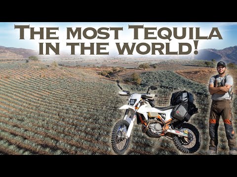 I Drove Through the Agave fields of Tequila Jalisco! (Ep 17)