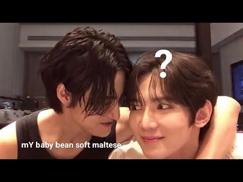 ATEEZ Seonghwa & Yeosang lil moments✨| Baby bean soft maltese raWr