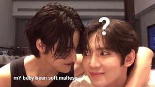 ATEEZ Seonghwa & Yeosang lil moments✨| Baby bean soft maltese raWr