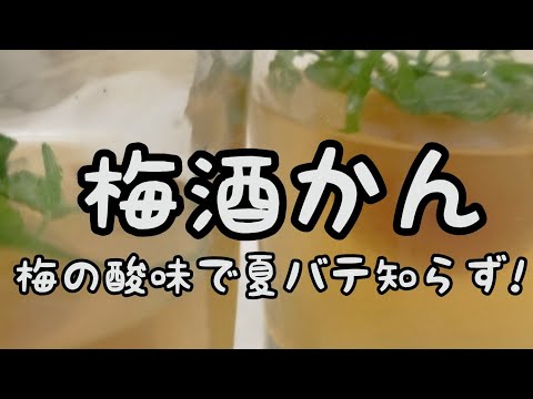 【簡単おやつ】#65　梅酒かん　喉越しさっぱり!