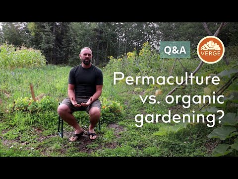 Permaculture vs. Organic Gardening | What is the difference?