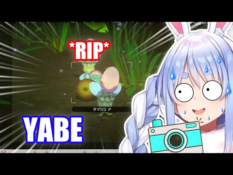 Pekora took a Photo of her Own Crime  【Hololive English Sub】