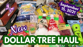 New DOLLAR TREE HAUL!  Christmas?!?!  September 15, 2021 #LeighsHome