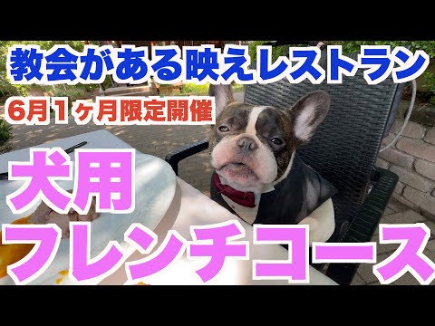 教会があるテラスでフレンチデート 愛犬用コース料理 【 フレンチブルドッグ french_bulldog 】 葉山庵