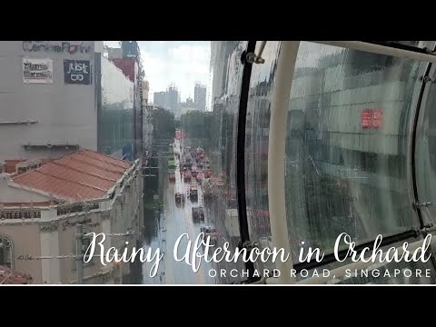 Orchard Road On A Rainy Afternoon