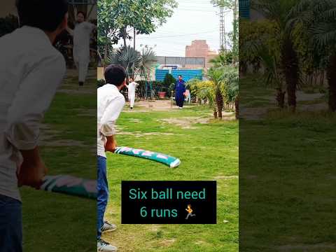 6 run need in 6 ball #cricket #babarazam #naseemshah ##100 #highlights #homecricket