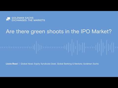 Are there green shoots in the IPO market?