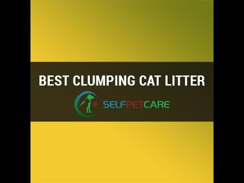 World’s Best Cat Litter